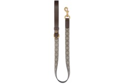 Large pet leash
