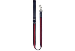 Large pet leash