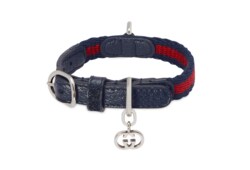 Extra-small pet collar