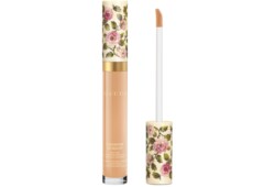23W, Concentré de Beauté, Concealer