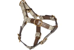 Small/medium pet harness