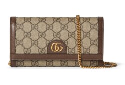 Кошелек на цепочке Ophidia