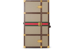 Большой чемодан для обуви Gucci Savoy