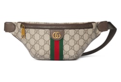 Ophidia small belt bag