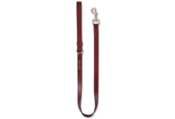 Small/medium leash