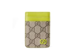 Kartenetui mit Magnetfunktion und lindgrünem Besatz