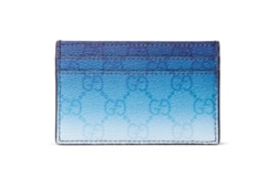 Gucci Chroma card case