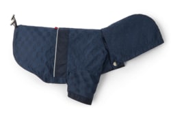 GG nylon pet rain coat