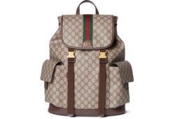 กระเป๋าแบ็คแพ็ค Ophidia large backpack