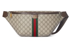 Ophidia large belt bag