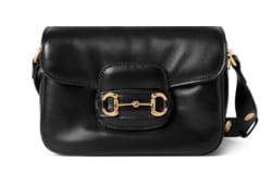 Gucci Horsebit 1955 Aura mini shoulder bag