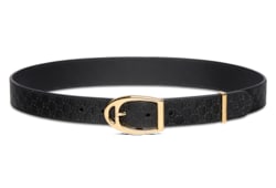 Belt with stirrup buckle