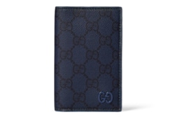 Längliches GG Kartenetui mit blassblauer Innenseite