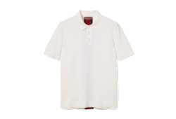 Knit wool polo shirt with Web