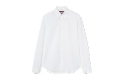 Cotton poplin shirt with embroidery