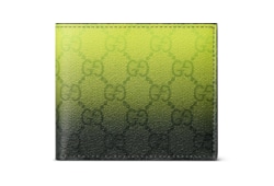 Portefeuille à rabat Gucci Chroma