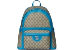 กระเป๋าแบ็คแพ็ค GG medium backpack