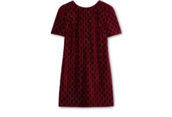 Embroidered cotton velvet dress