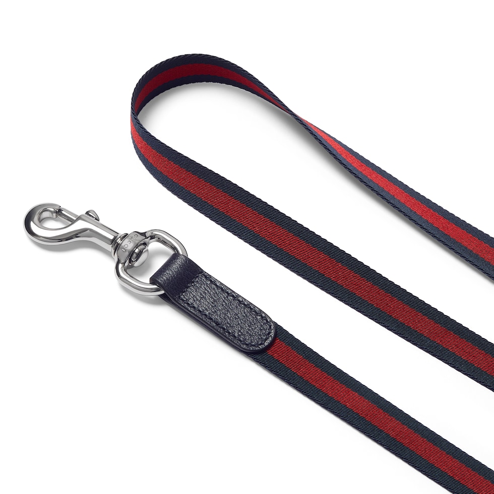 Crossbody pet leash