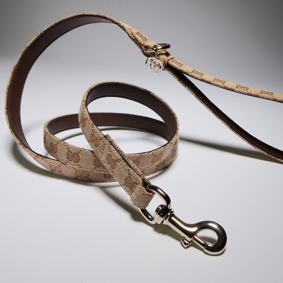 Extra-small pet leash