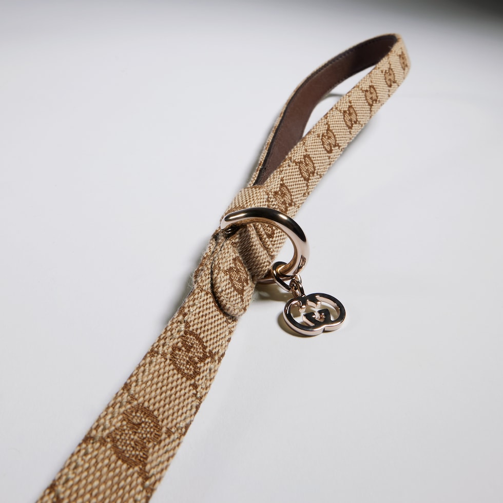 Extra-small pet leash