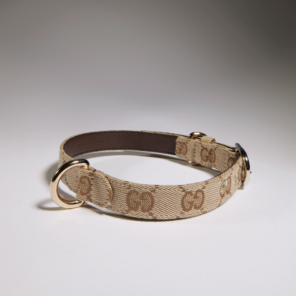 Small/medium pet collar