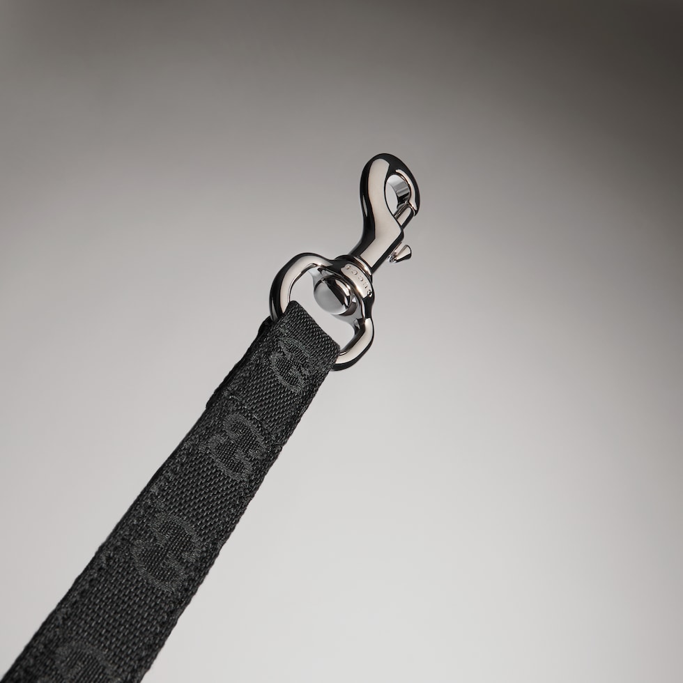 Small/medium pet leash
