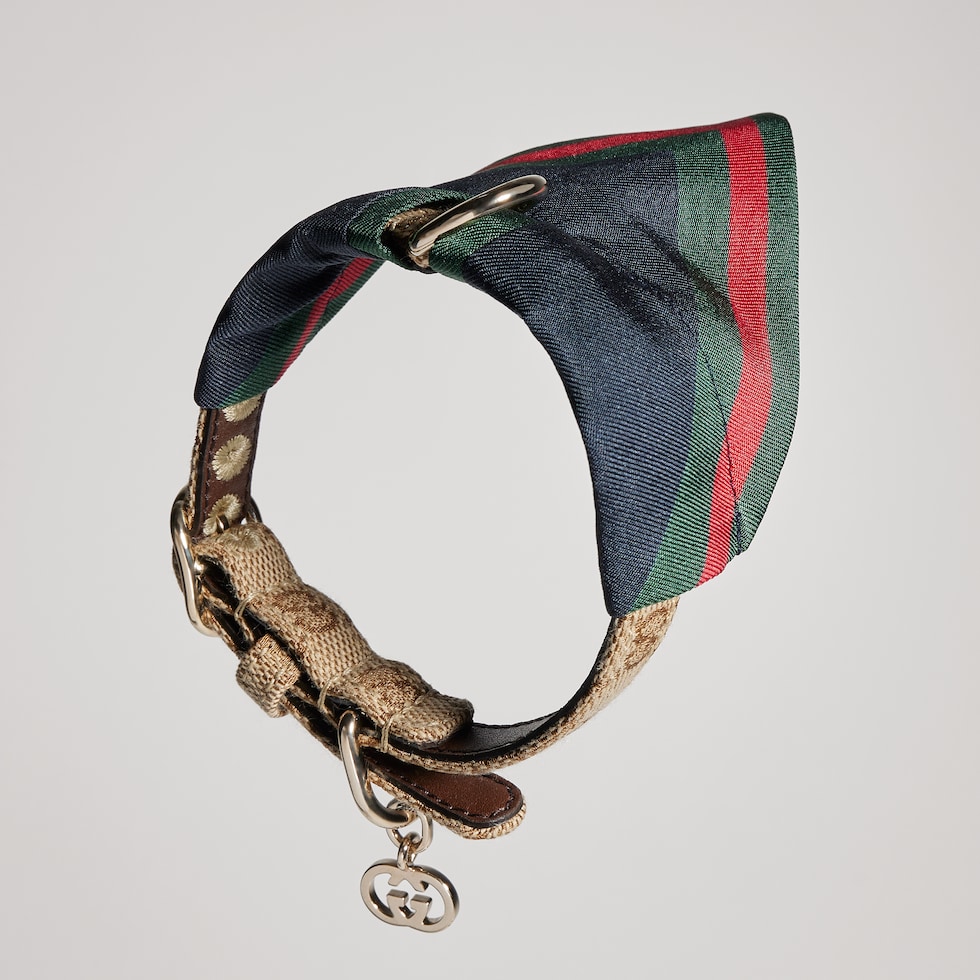 Extra-kleines Haustier-Bandana
