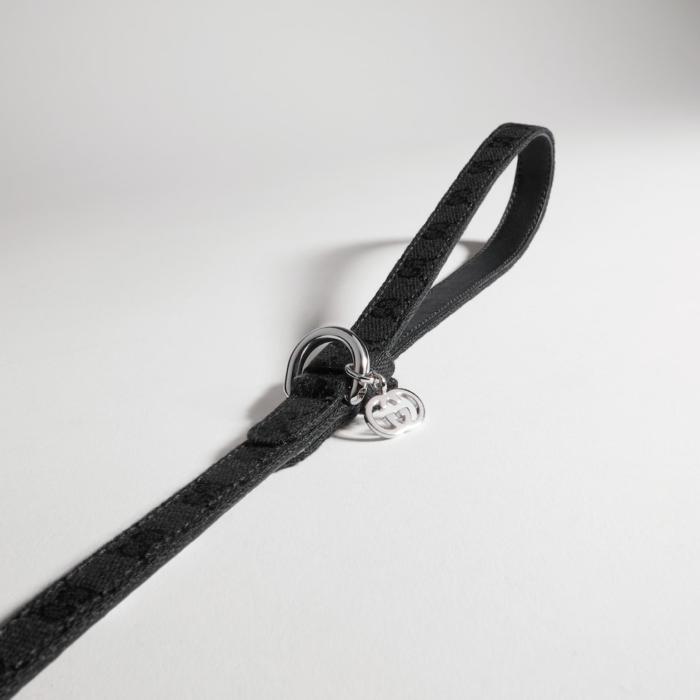 Extra-small pet leash