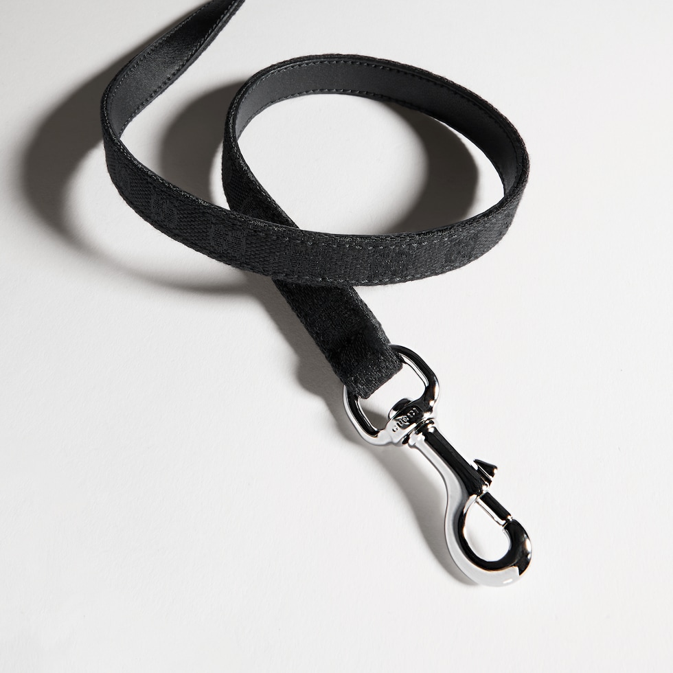 Extra-small pet leash
