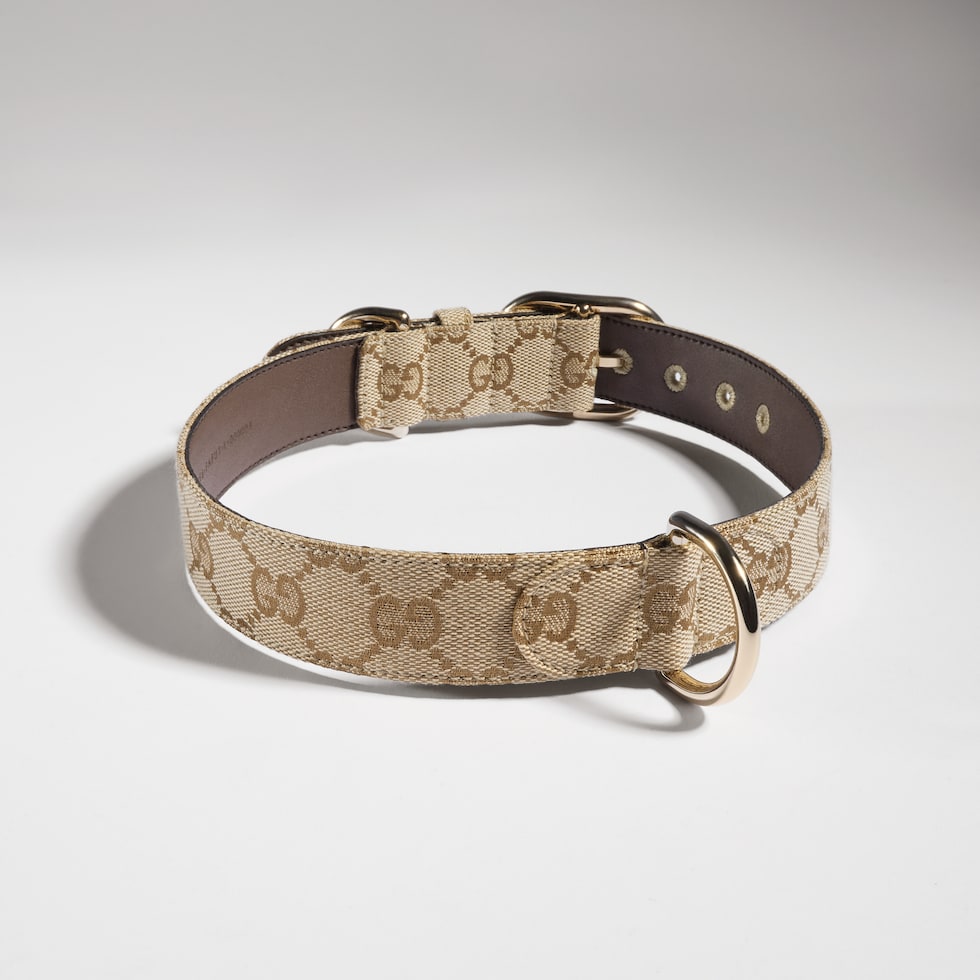 Large/extra-large pet collar