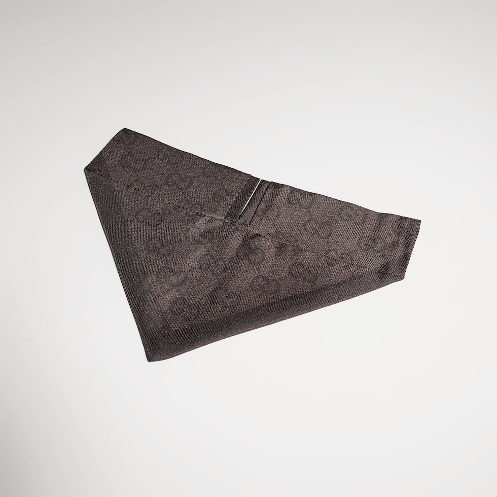Bandana für kleine/mittelgroße Haustiere