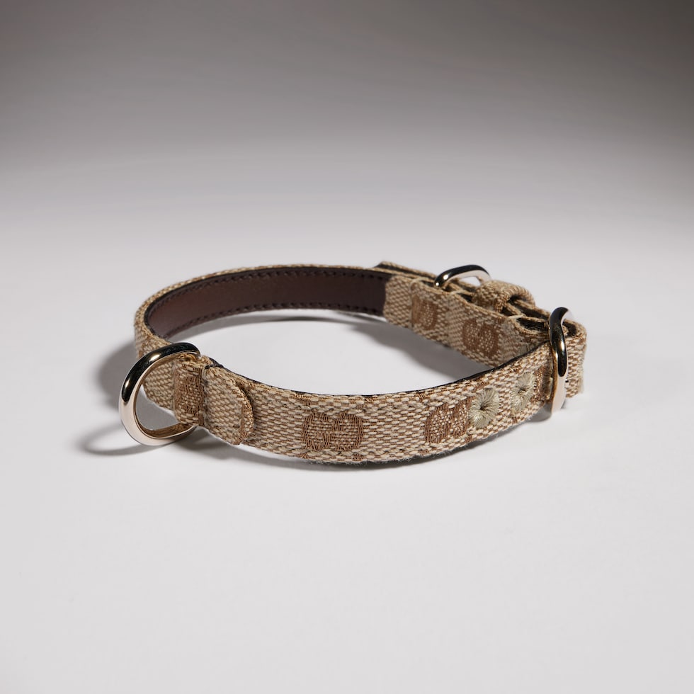 Extra-small pet collar