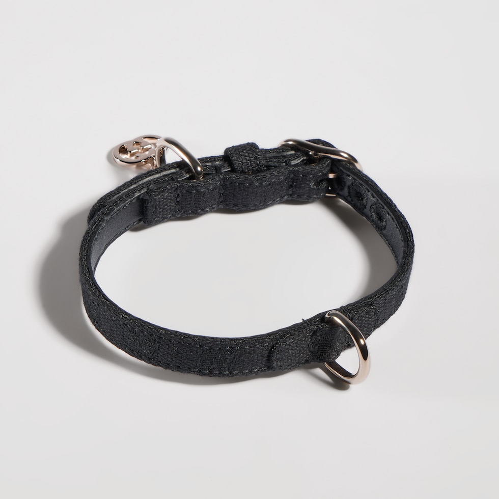 Extra-small pet collar