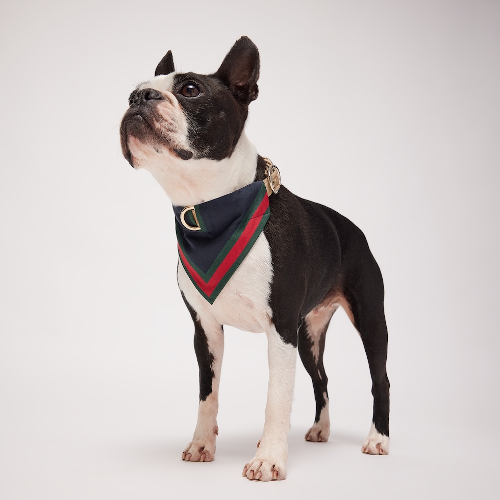 Small/medium pet bandana