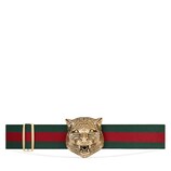 Elastic belt with feline buckle