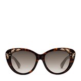 Specialized fit cat eye acetate sunglasses