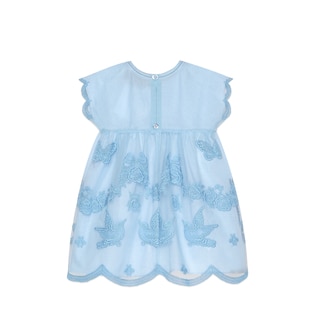 Baby tulle dress with embroidery
