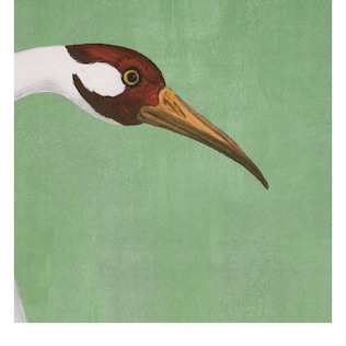Heron print wallpaper