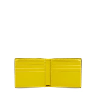 Crocodile wallet
