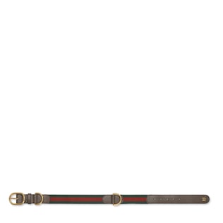 Large/extra-large pet collar