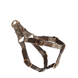 Extra-small pet harness