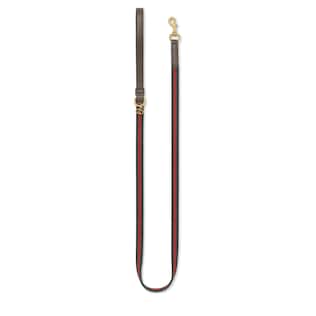 Extra-small pet leash