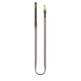Laisse pour animal de compagnie taille XS