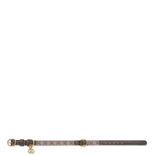 Extra-small pet collar