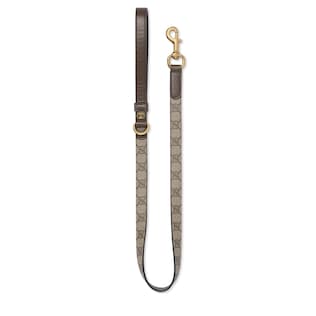 Small/medium pet leash