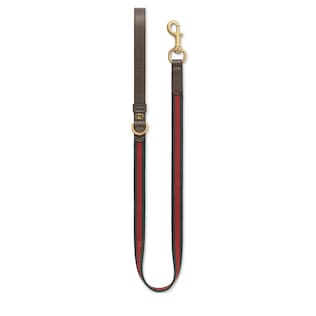 Small/medium pet leash