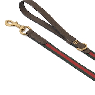 Small/medium pet leash