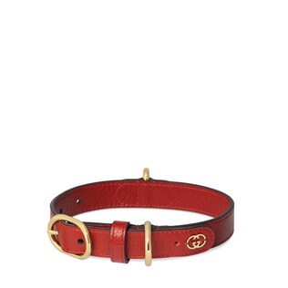 Small/medium pet collar