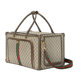 Pet carrier with Web